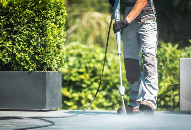 Best Fence Cleaning and Maintenance in Waawa, HI
