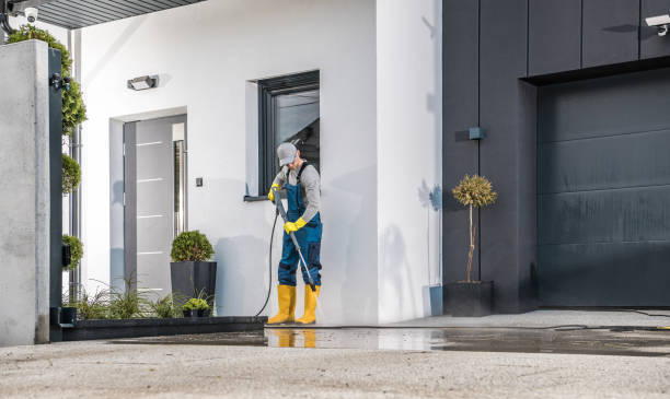 Best Vinyl Siding Pressure Washing in Waawa, HI